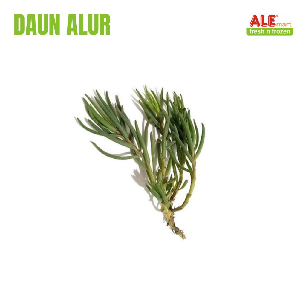 

Sayur alur fresh, daun alur, sayuran alur segar