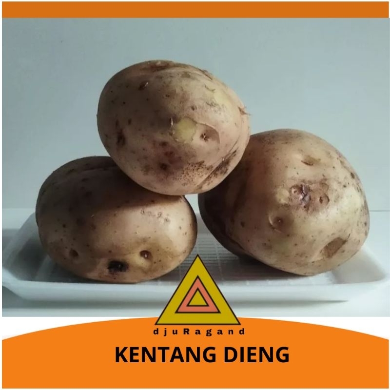 

Kentang dieng 500 gram