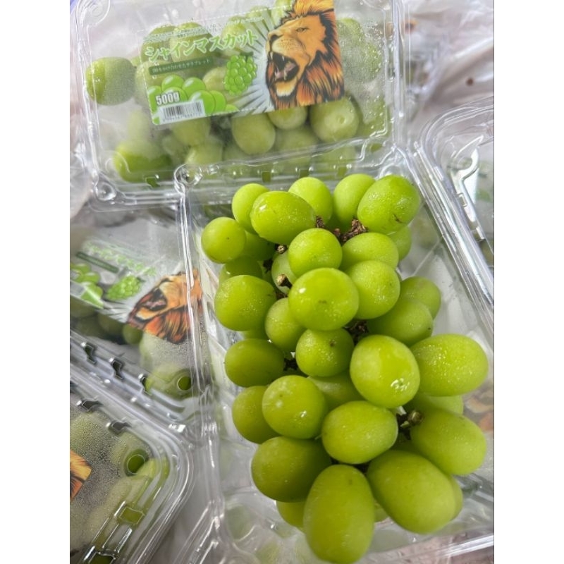 

Shine Muscat Premium Sultan 1 pack isi +-500gr