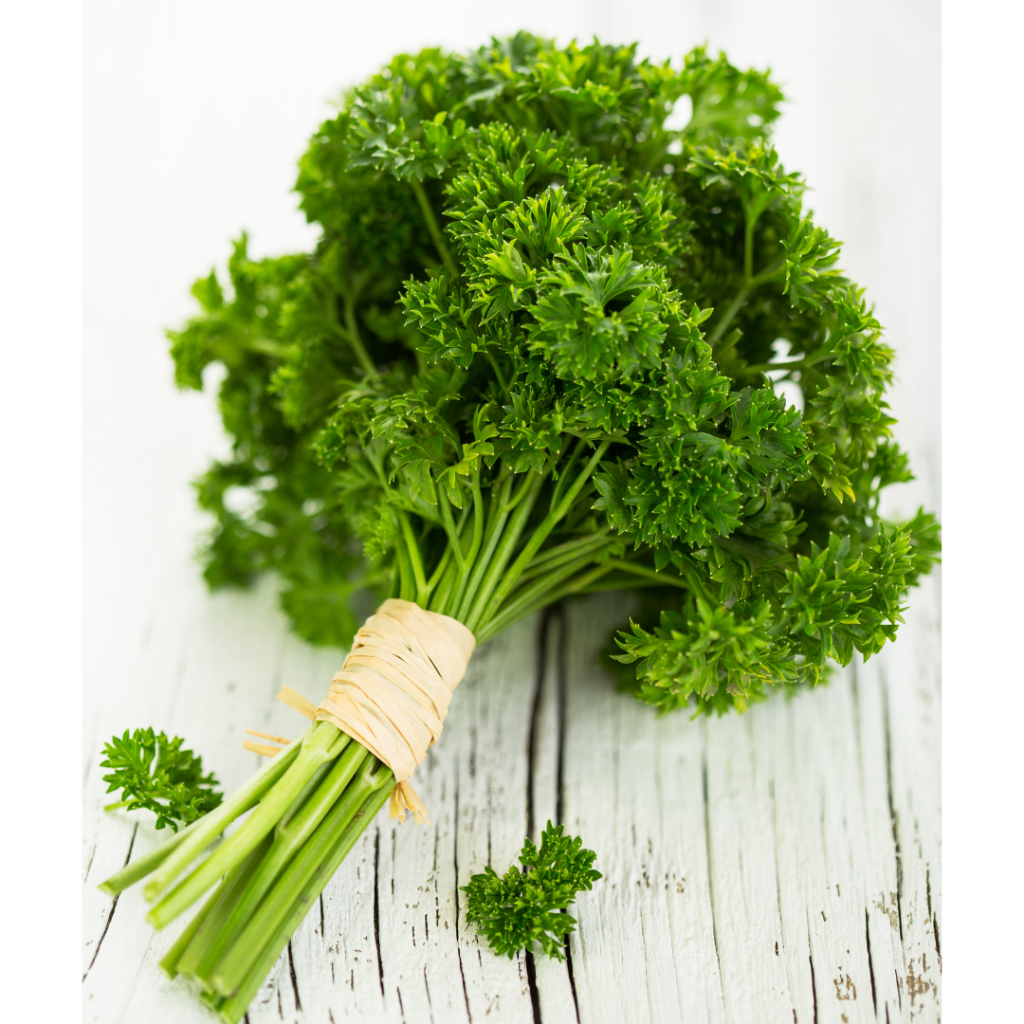 

Parsley organik 100gram