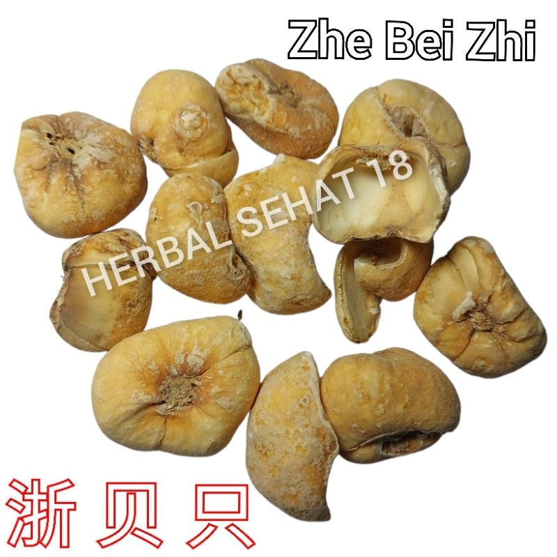 

Zhe Bei Zhi 600g Chuan Bei Mu Bulbus Fritillariae Cirrhosae