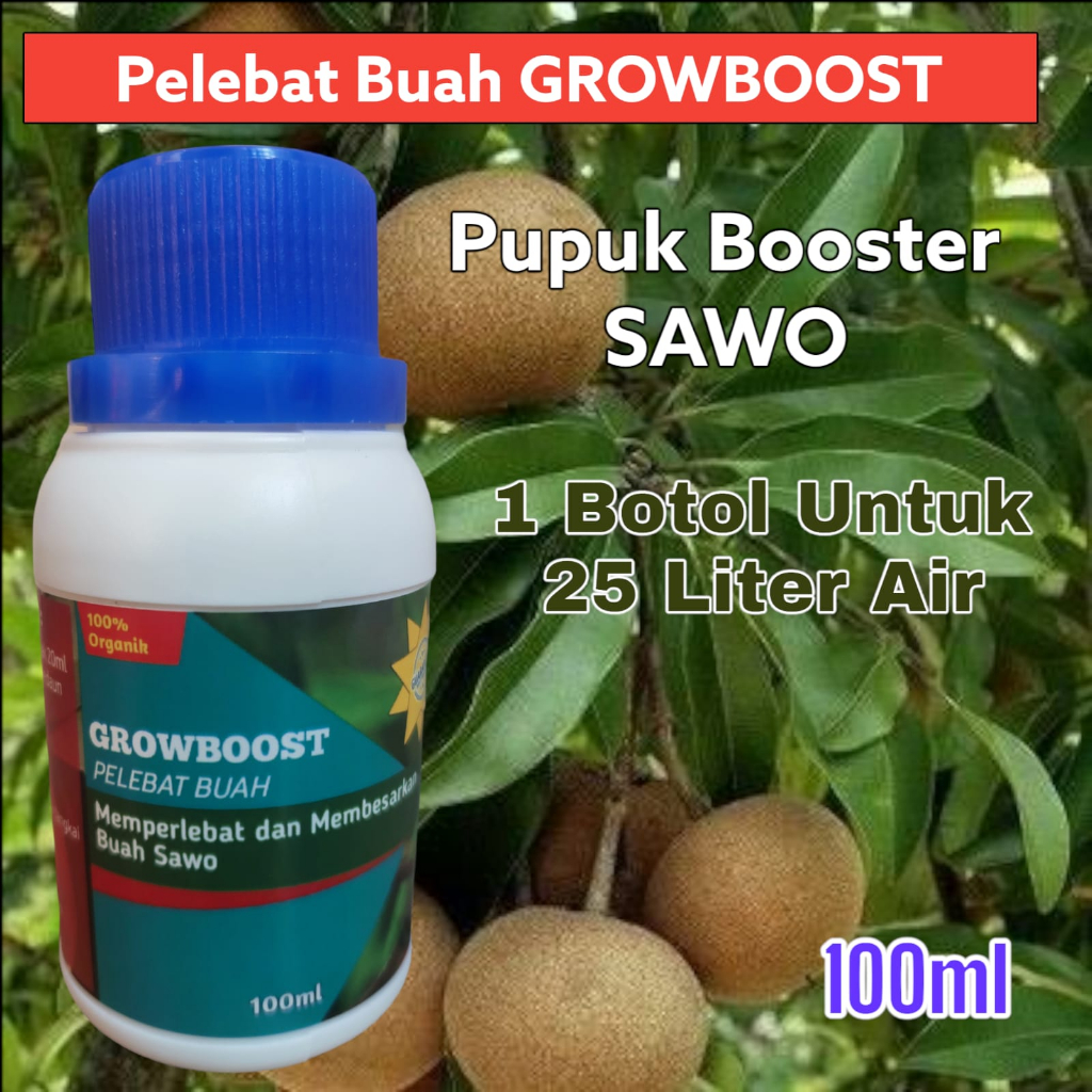 Pupuk Buah Sawo Premium Organik GrowBoost Buah Sawo 100ml