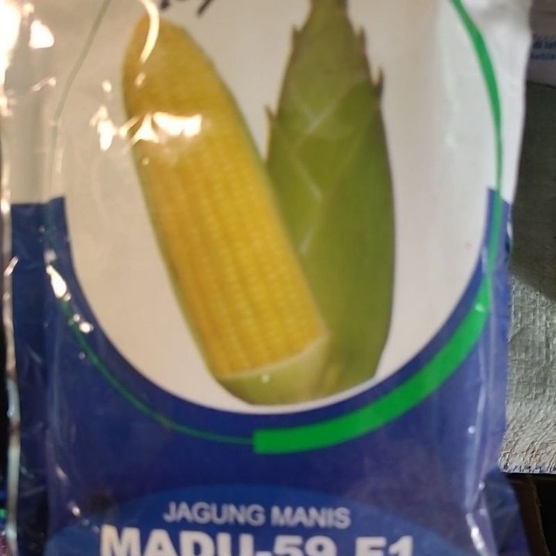 

jagung manis