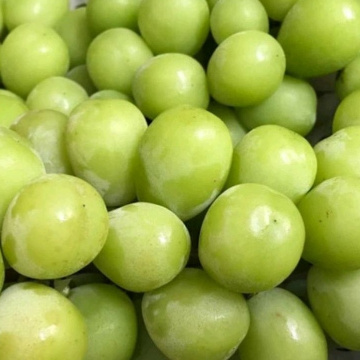 

Anggur Hijau Tanpa Biji Manis/500gr/1kg