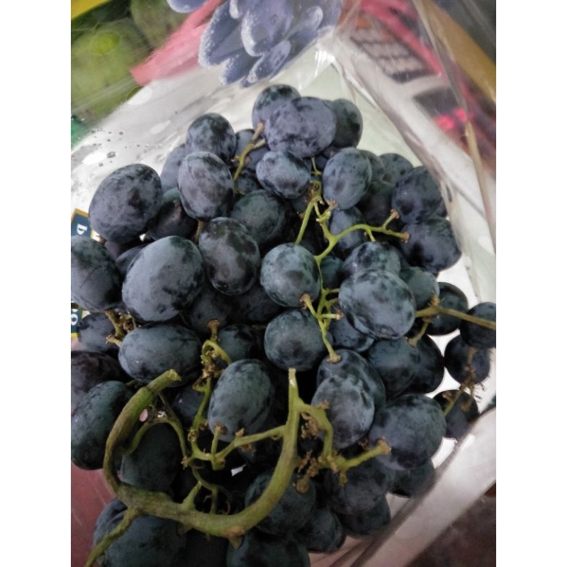 

Anggur Autumn Manis/500gr/1kg