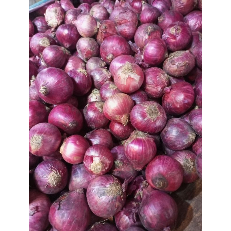 bawang putih 500gram fresh