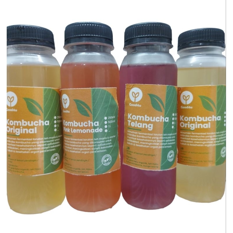 

Teh Kombucha Minuman Probiotik 250ml