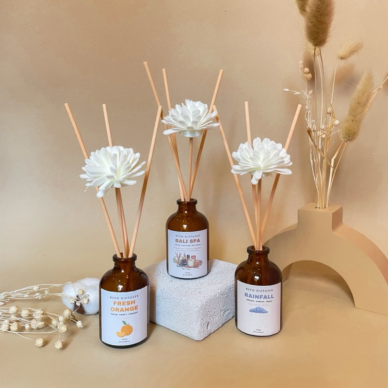 Reed Diffuser 50 ml by DCANDLE | Pengharum Ruangan Tahan Lama Aestetik | Sola Flower Dekorasi Rumah Pewangi Botol Kaca Diffuser