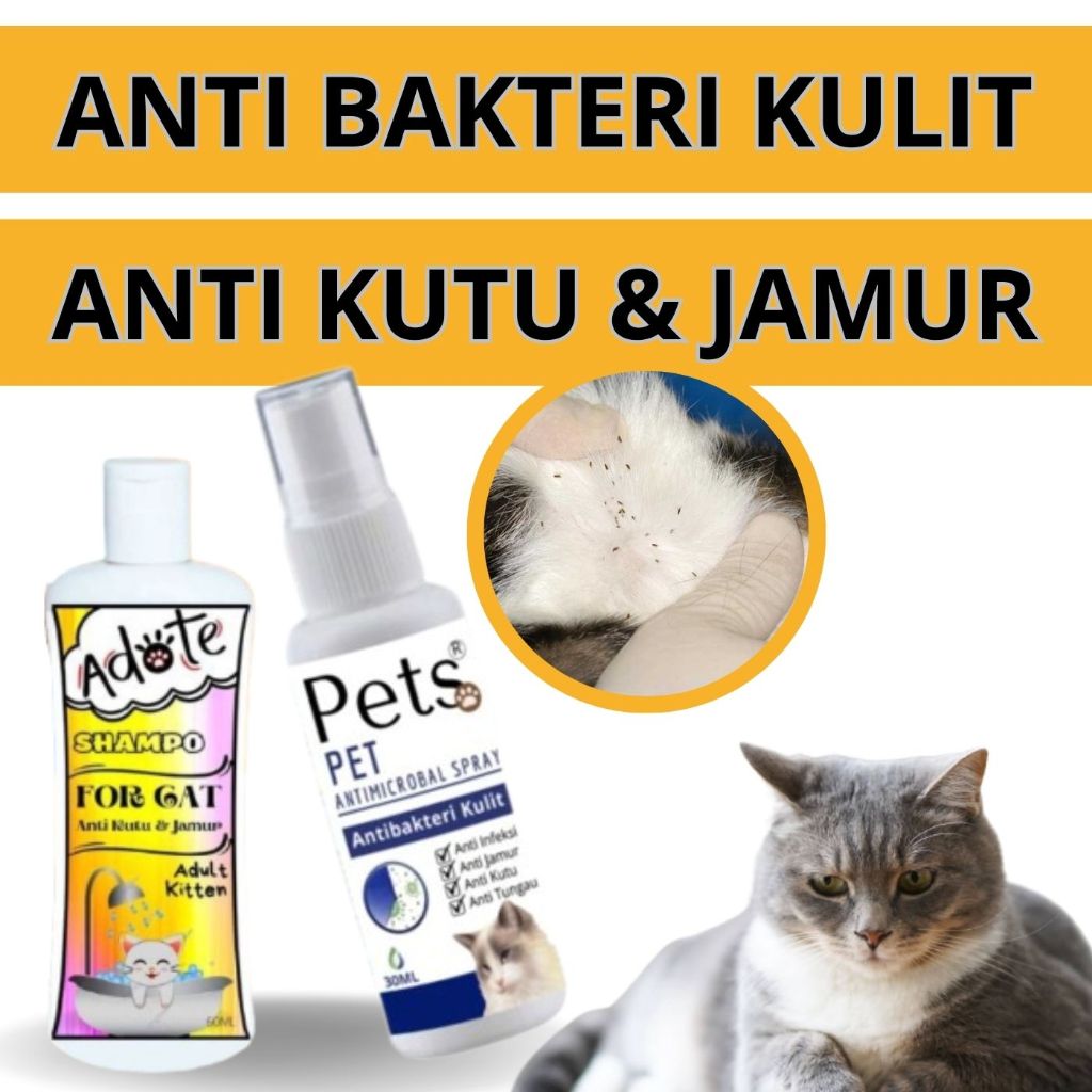 Paket Bundling Spray Anti Scabies Kutu Kucing dan Shampoo Anti Jamur