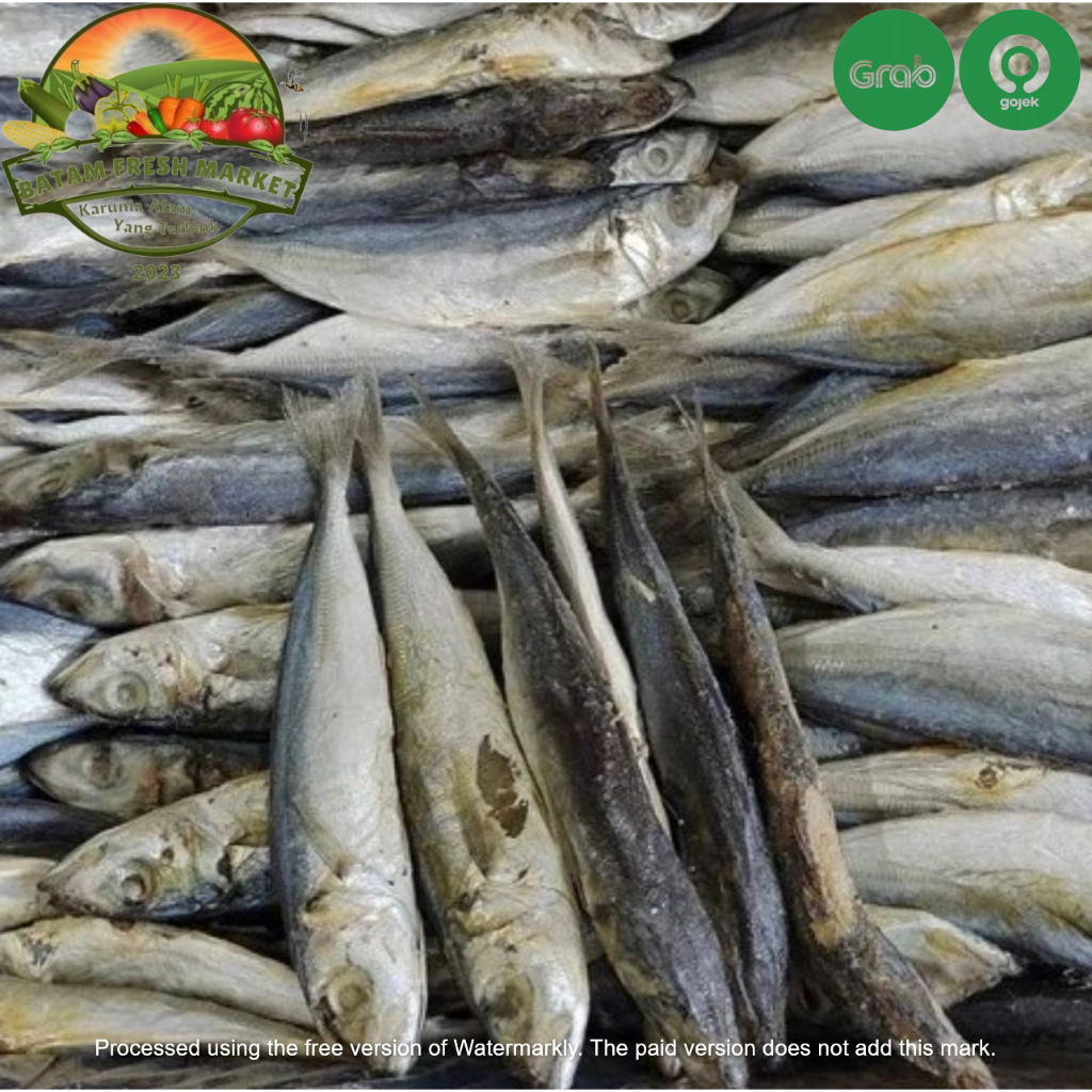 

Ikan Asin Benggol Fresh