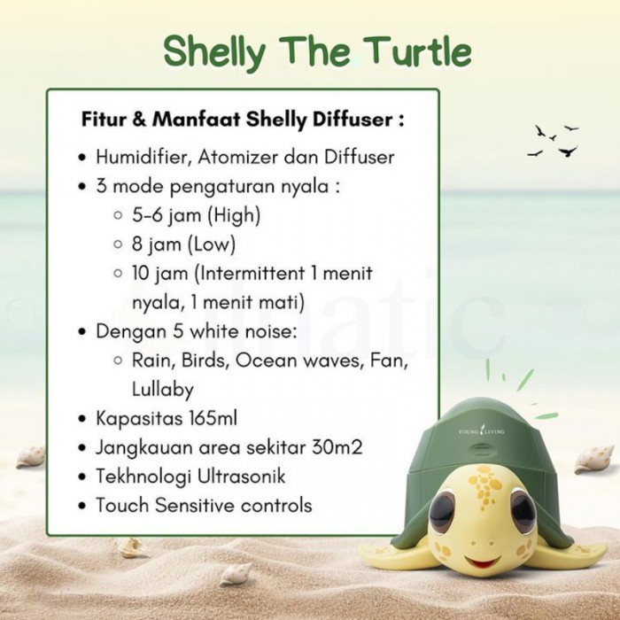 Shelly The Turtle Young Living Babymaniashop