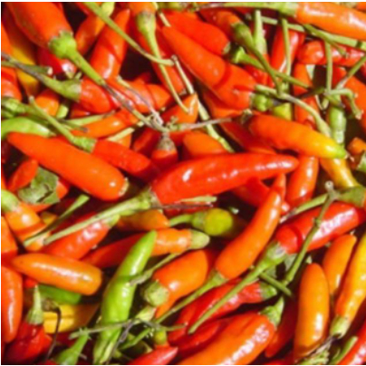 

CABE RAWIT CABAI RAWIT 250GRAM
