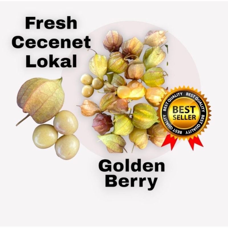 

MURAH BANGET!!!CECENET/CIPLUKAN/GOLDENBERRYLOKALMANIS