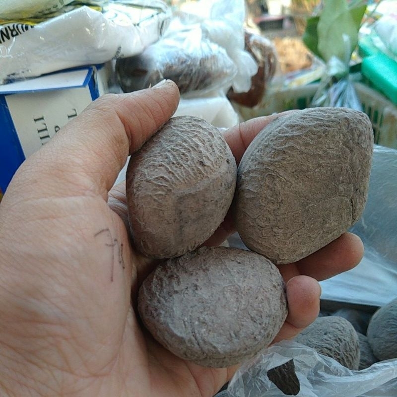 

keluwak kluwek super kualitas 1 250g