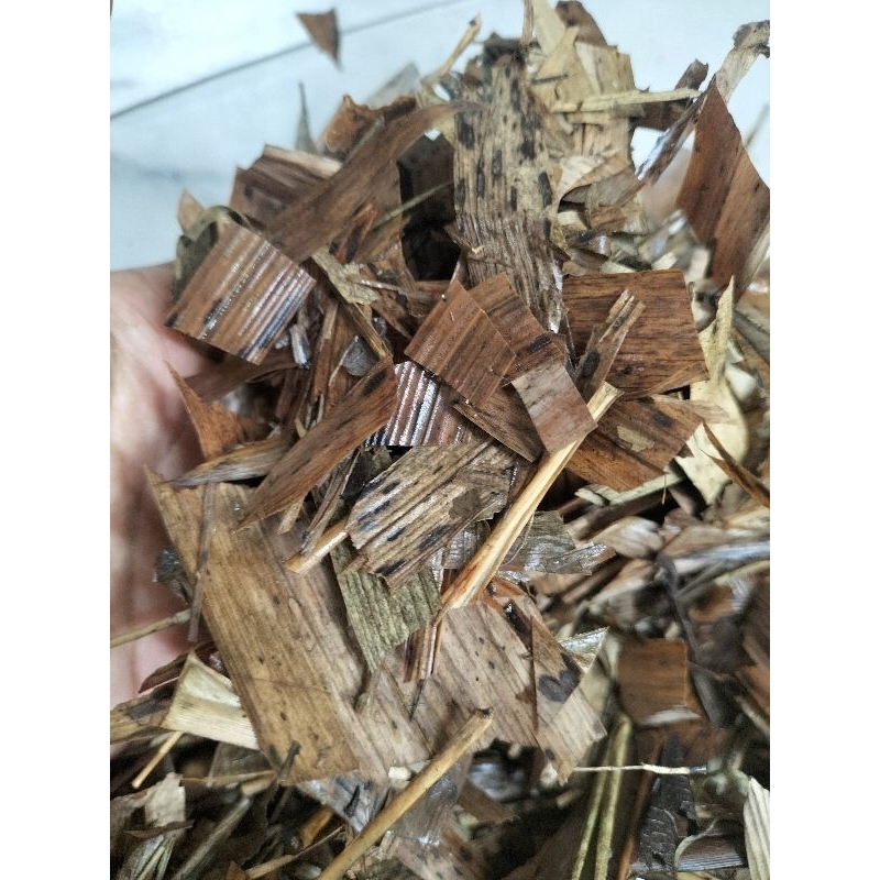 DAUN BAMBU FERMENTASI