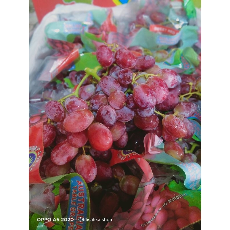 ANGGUR RED CHINESS SEEDLESS