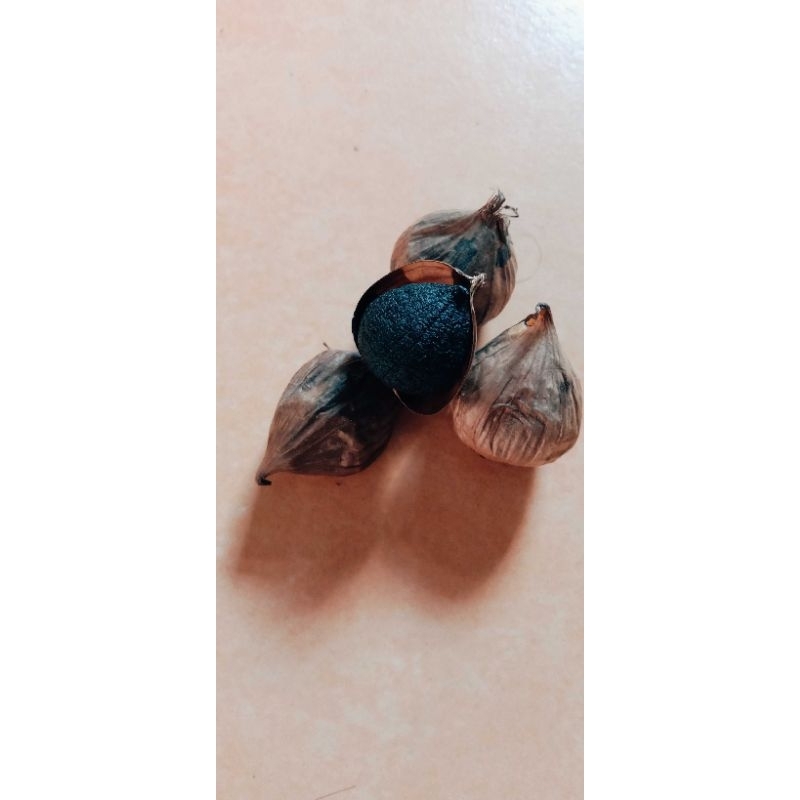 

Bawang lanang hitam (black Garlic)