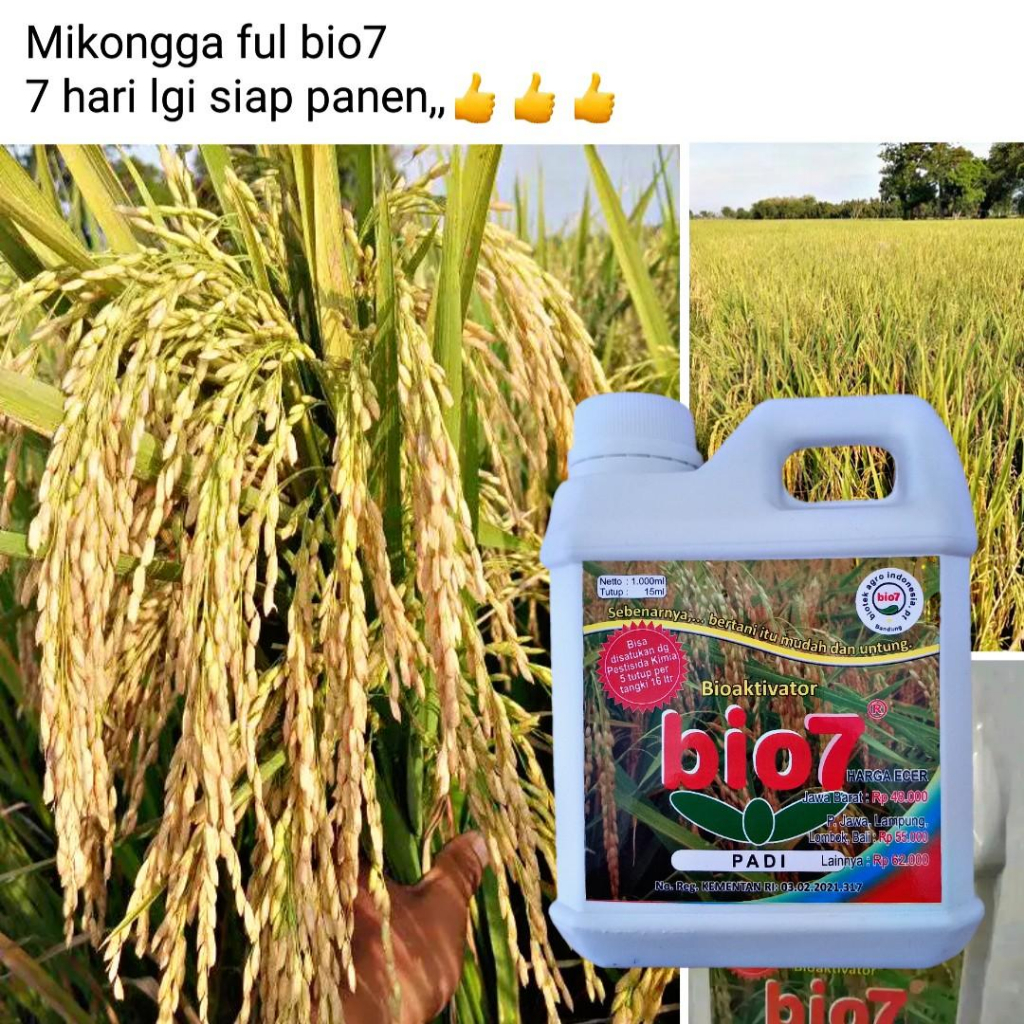 Bio7 Padi Pupuk Organik Cair Hayati 1 Liter Memperbanyak Anakan Padi