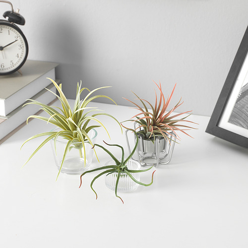 FEJKA Tanaman tiruan, set isi 3, air plant / tanaman air