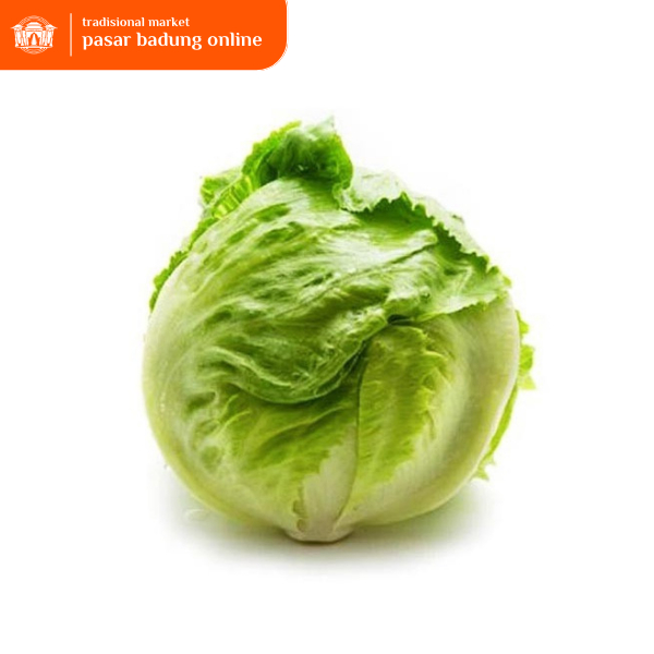 

selada bulat - lettuce head lettuce 250 gr letus salada SEGAR