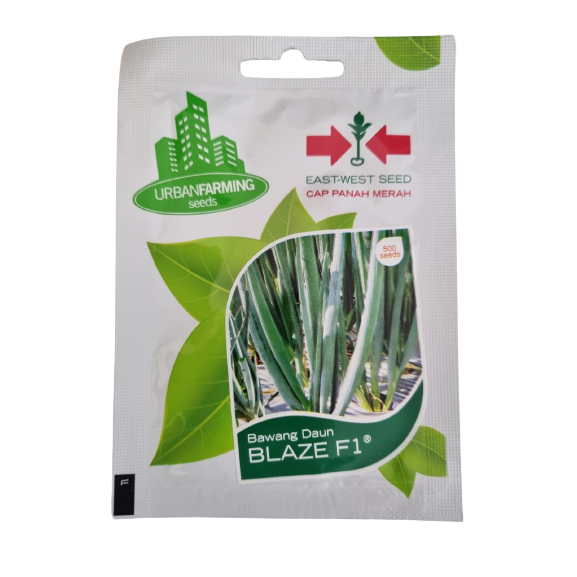 Benih Bawang Daun Hibrida BLAZE F1