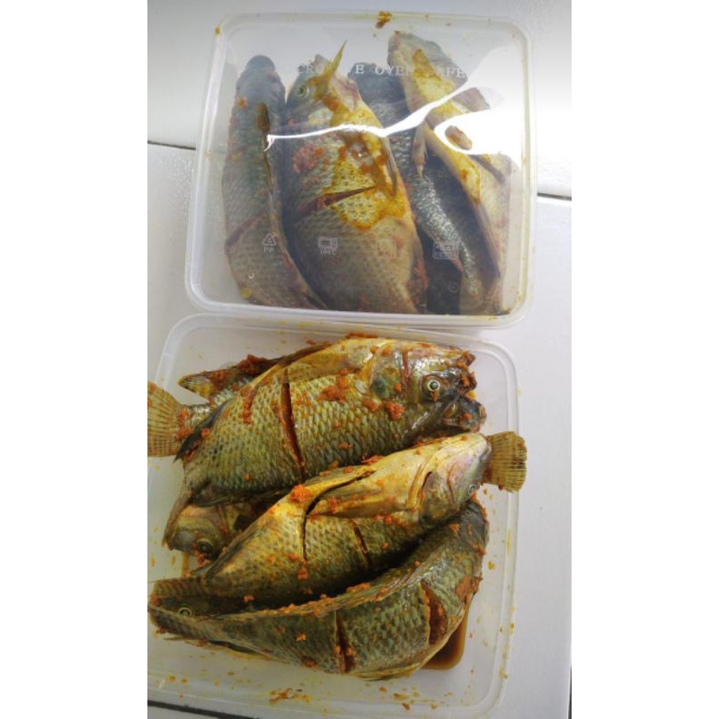

ikan nila