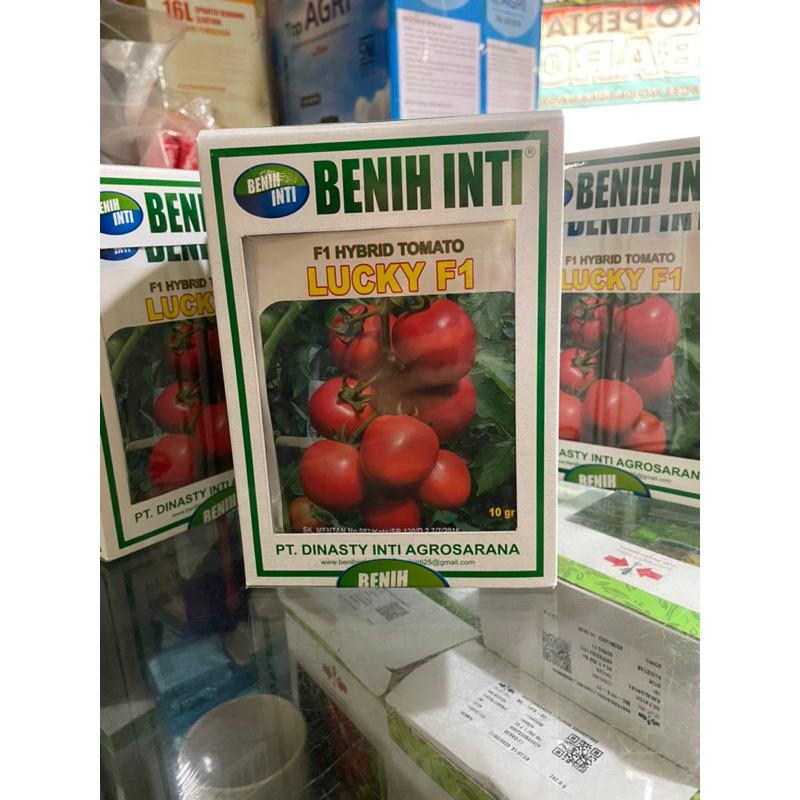 Benih Tomat Hybrid F1 LUCKY / bibit tomat lucky Benih Inti