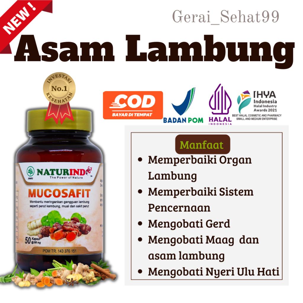 Obat Asam Lambung Maag Magh Gerd Kronis Perut Kembung Tukak Lambung Sesak Nafas Ulu Hati Herbal Ampu