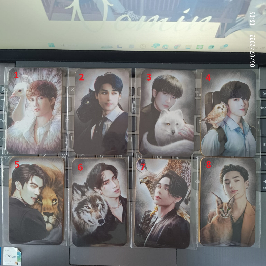 Photocard PC fanmade kinnporsche animal spirit