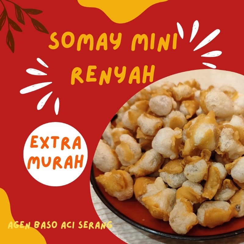 

somay mini kering