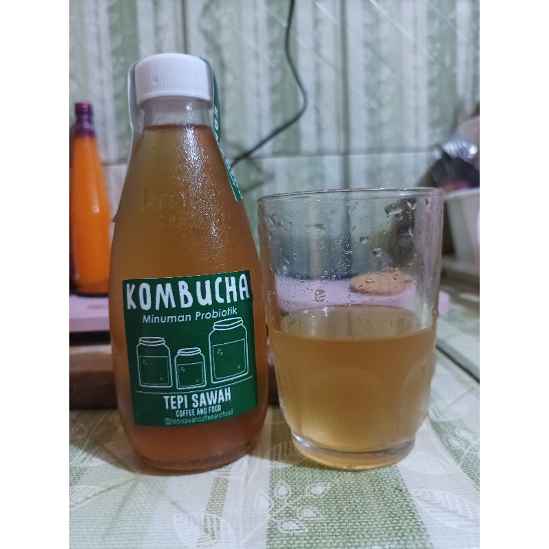 

kombucha minuman probiotik