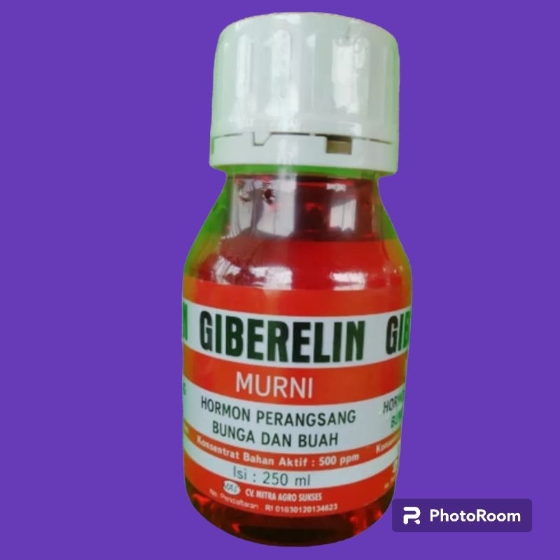 Giberelin murni 250ml