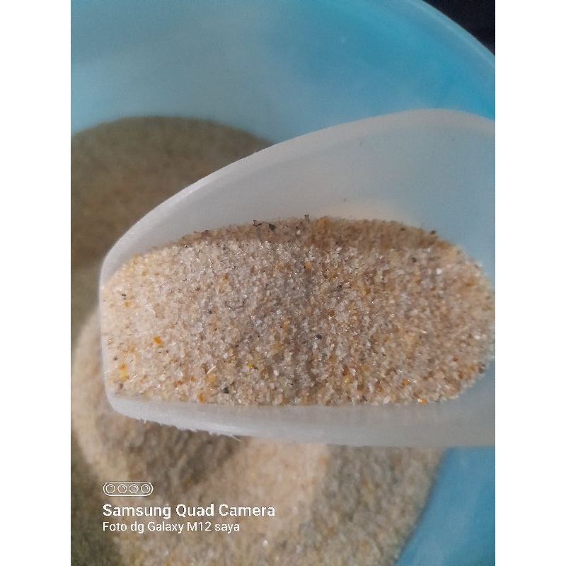 

birnest serbuk Sarang walet original 50 gram