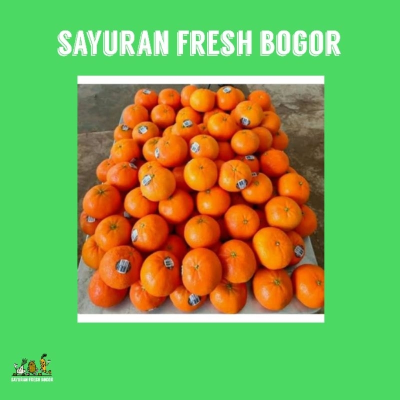 

Jeruk Santang Segar ( 500 Gram ) | Sayuran Fresh Bogor