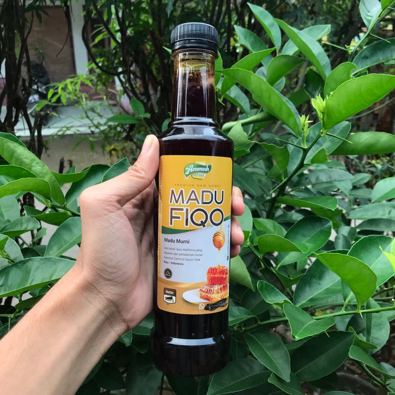 

madu fiqo - MADU ASLI murni 100% - madu hutan zamrud riau 500 mili/gram