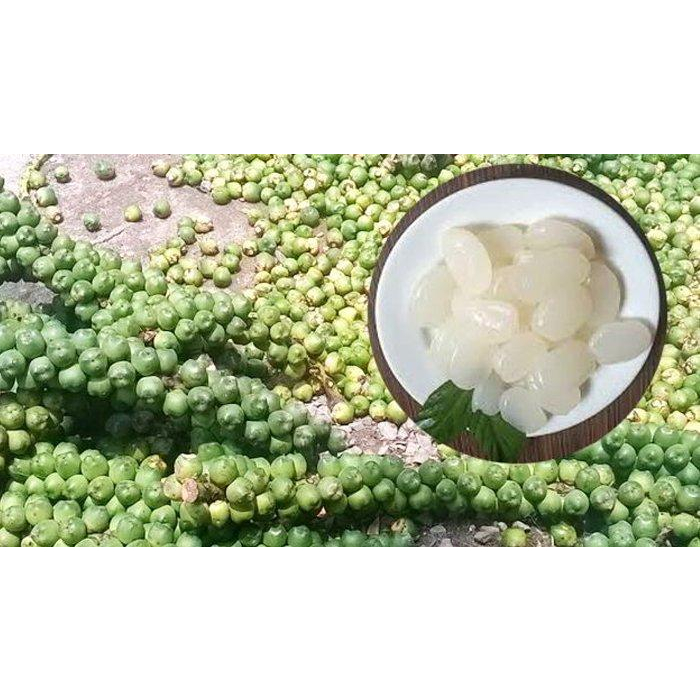 

1Kg Buah Kolang Kaling Muda Organik 100%