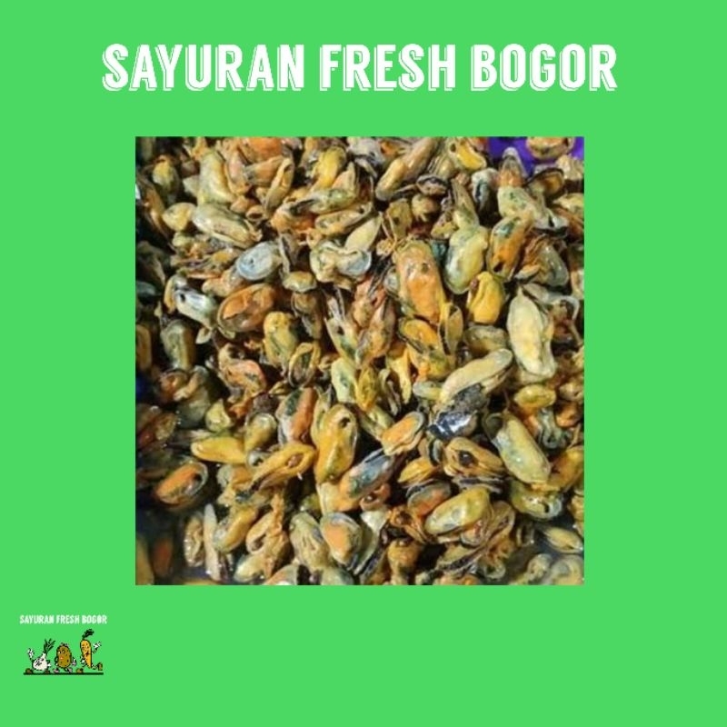 

Kerang Ijo Kupas ( 250 Gram ) | Sayuran Fresh Bogor