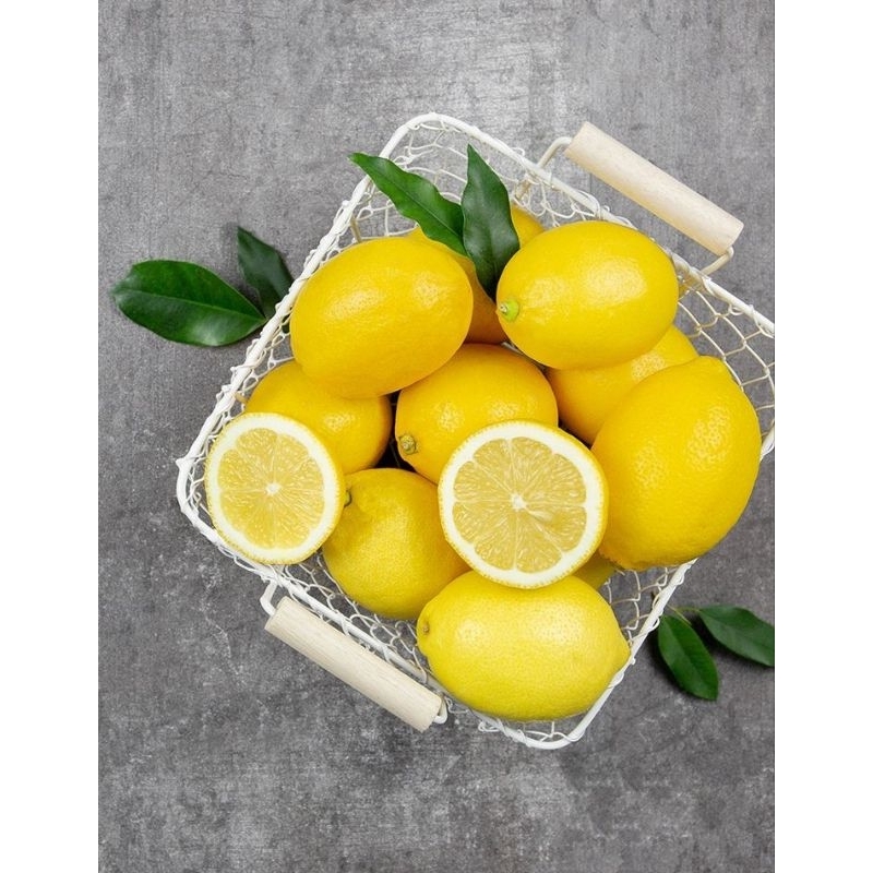 

Lemon Besar Segar Import