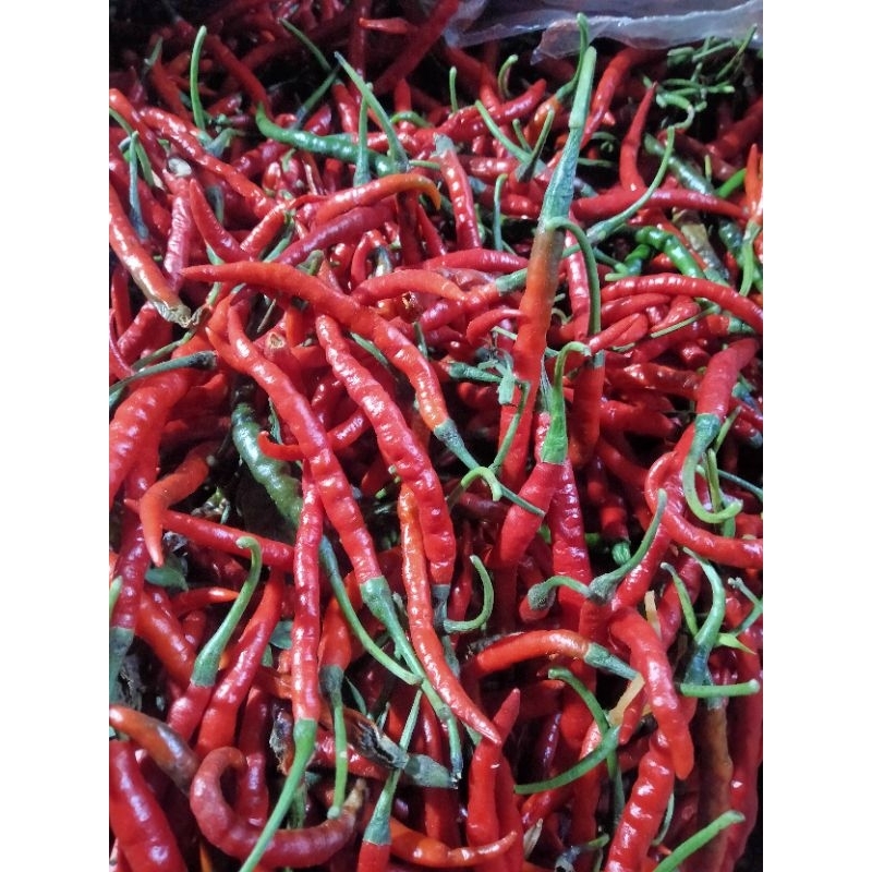 

Cabai merah keriting 100gr