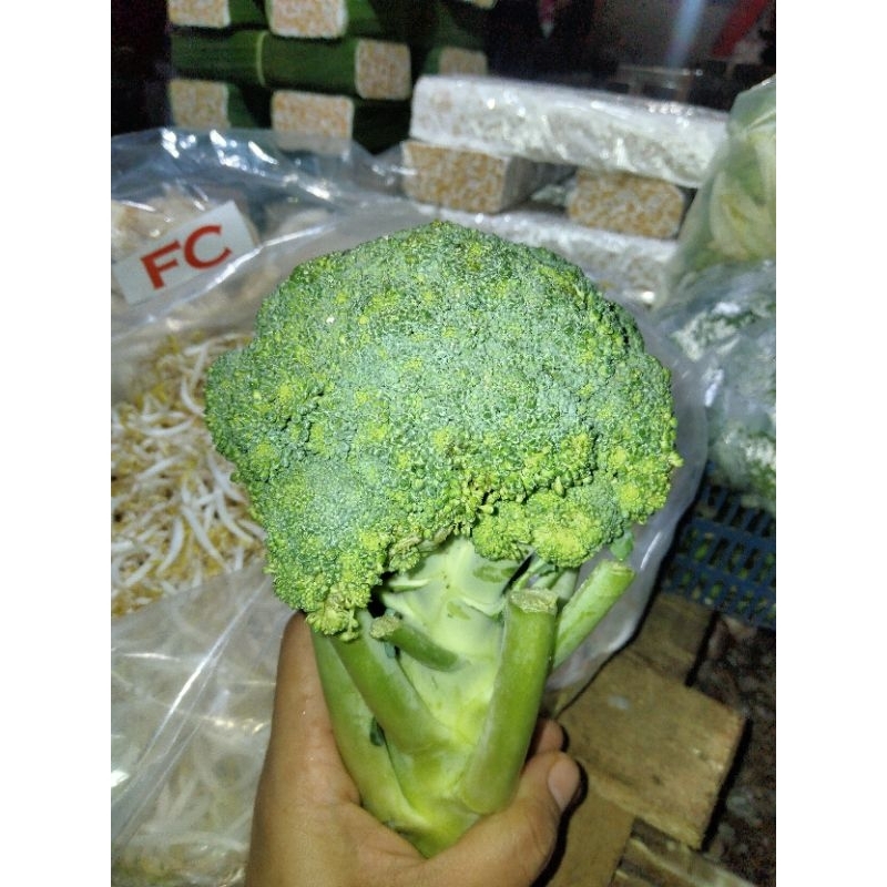 

Brokoli segar 500gr