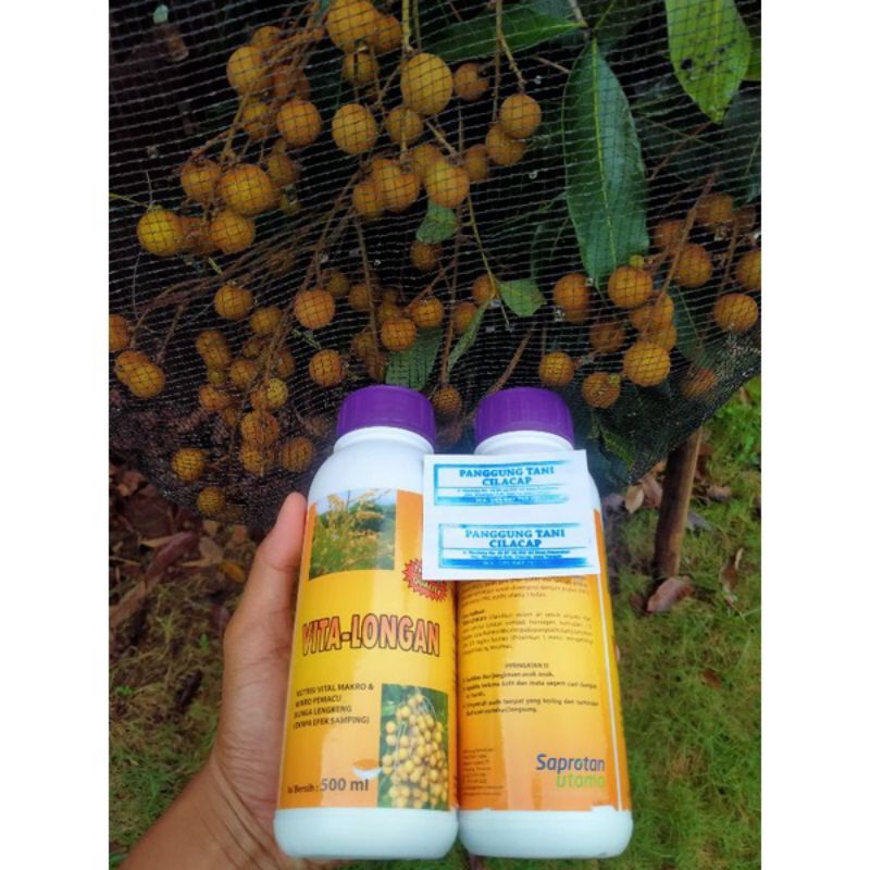 Pupuk Boster Tanaman Kelengkeng Vitalongan (sangat efektif Boster Kelengkeng) 500 ml (Original) Kada