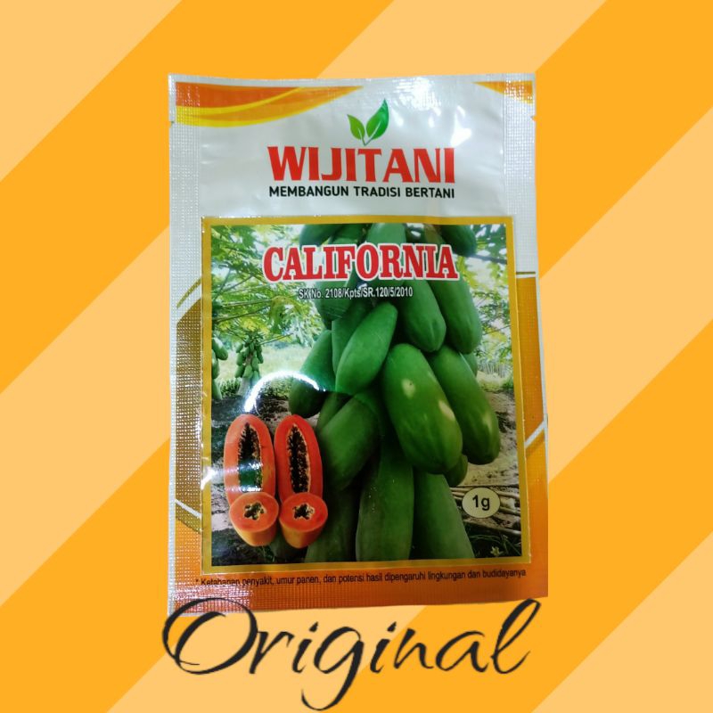 Benih Pepaya CALIFORNIA WIJITANI