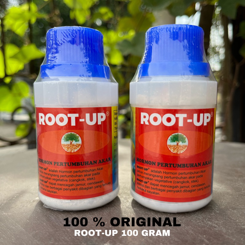 Root up Hormon akar Rootup untuk akar Hormon ZPT