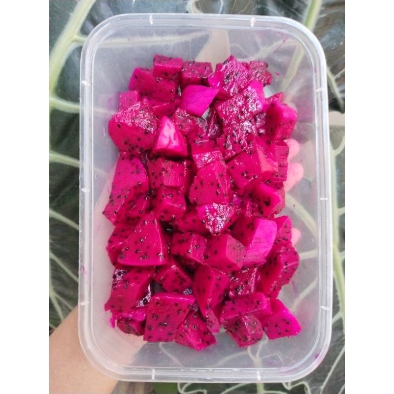 

BUAH POTONG SEGAAAR PRAKTIS 650ml