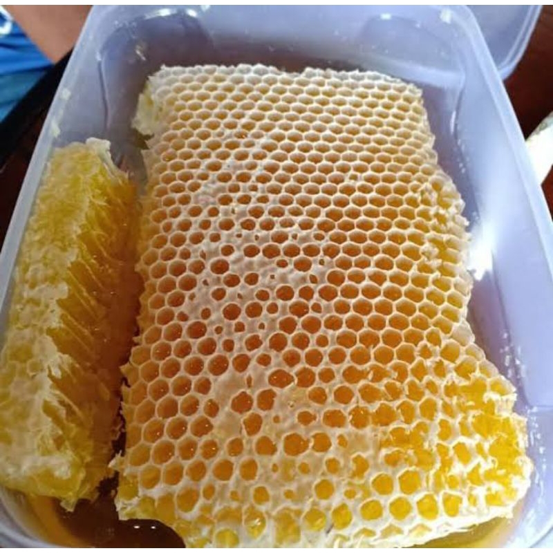 

madu sarang asli 250gram/ madu sarang melifera/madu sarang enak/ sarang madu asli/sarang madu viral
