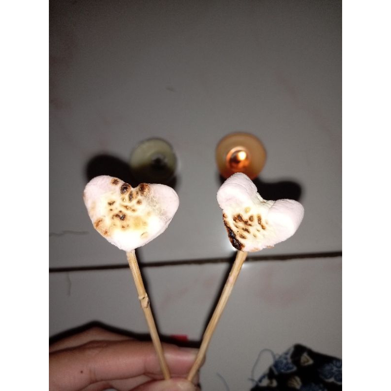 tory burch bucket bag