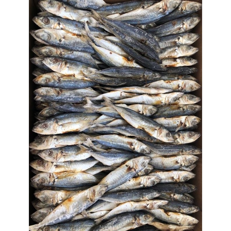 

Ikan Layang Japuh Asin Murah ukuran 3 cm/Layang Asin 250gram,500gram,1kg