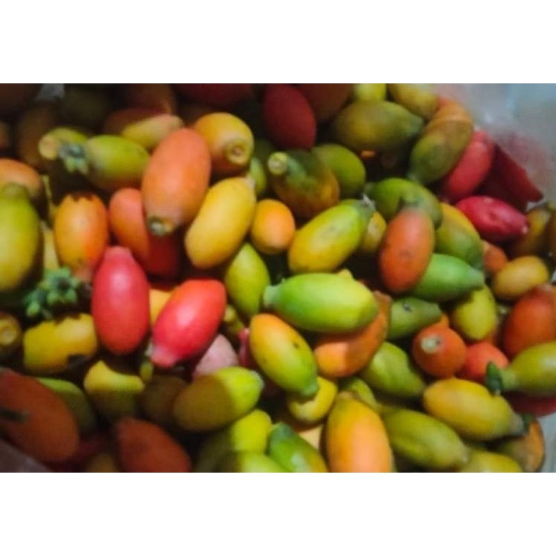 

BUAH BELINJO 100gr