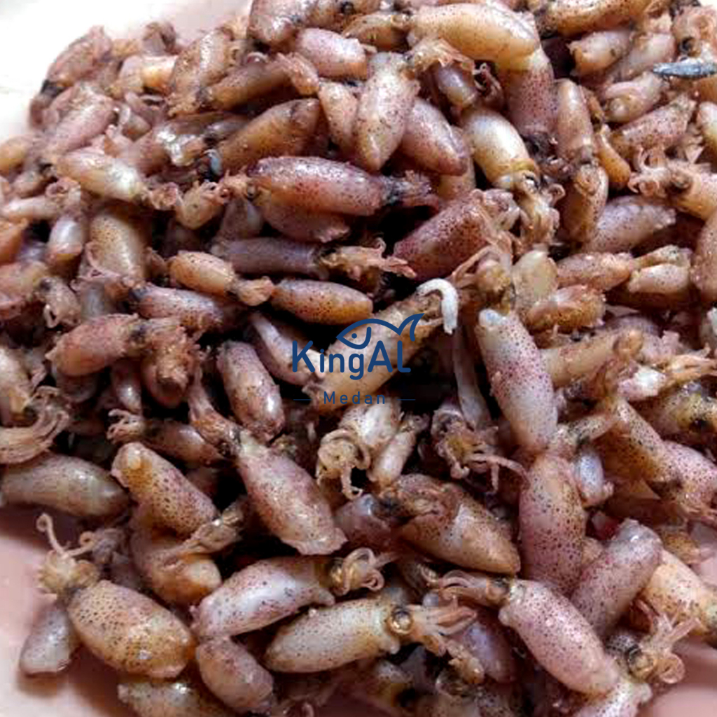 Baby cumi/ cumi kering kualitas super premium 1KG