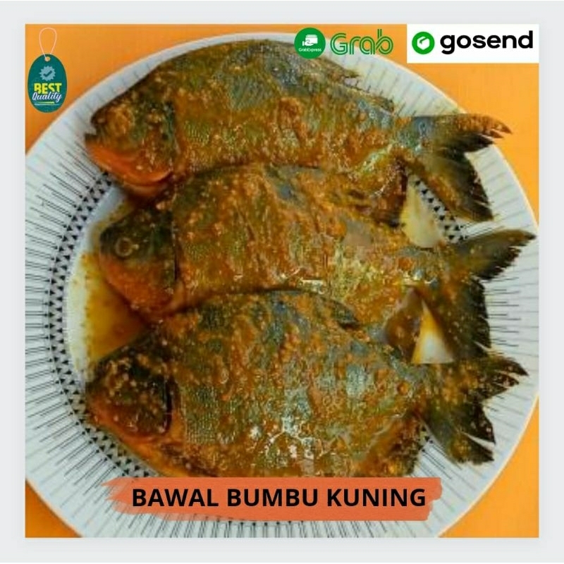 

Ikan Bawal Tawar Bumbu Kuning - 500gr
